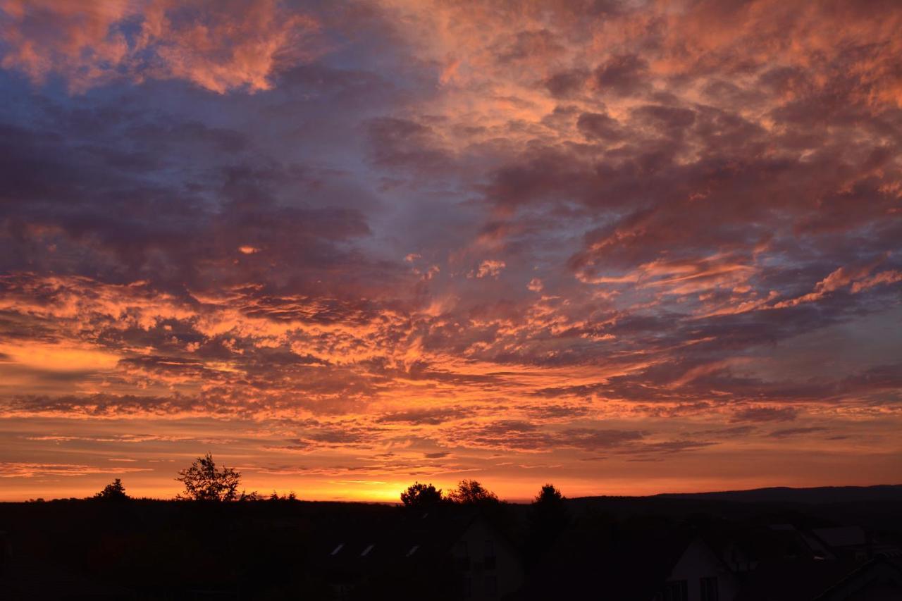 Ferienwohnung "Zum Paladin" Berg  Buitenkant foto